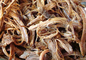 shredded beef recipe